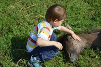 Mein Sohn auf der Fohlenkoppel